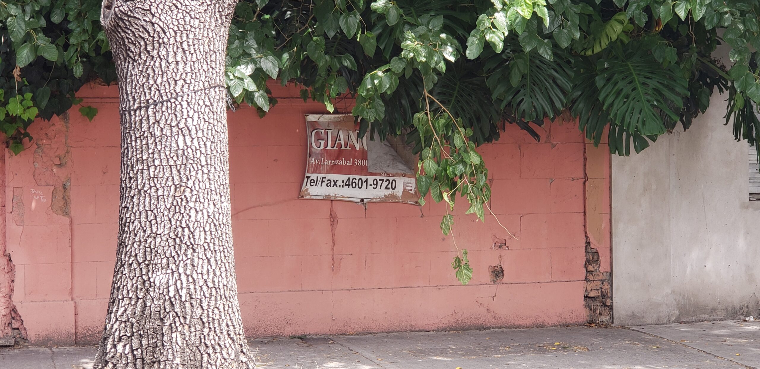 lote vayo guardia nacional y echeandia